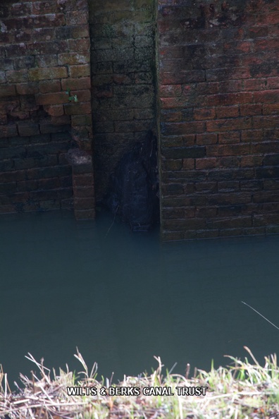 bottom lock gate remains.jpg