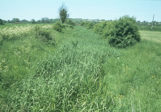 063 Near Summit Lock June 1978