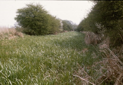 068 Chaddington Lane bridge looking east 1976