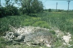 069 Remains of Chaddington Lock looking west June 1978