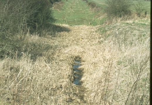 079 Chaddington Lane Bridge west Spring 1978