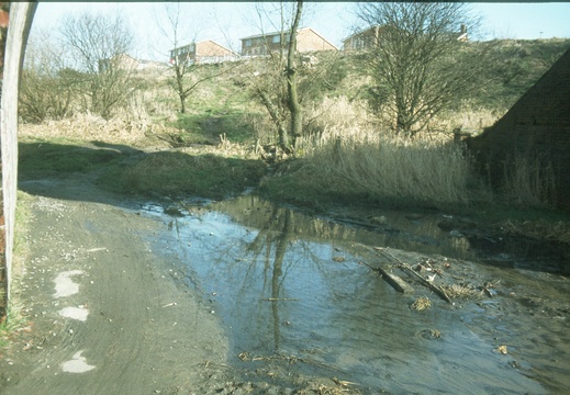 095 Beneath M SWJ Bridge spring 1978