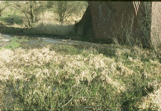 096 beneath M SWJ Bridge spring 1978