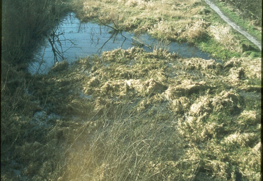 097 Towards Wootton Bassett from M SWJ Bridge spring 1978