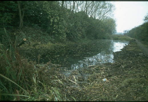 110 Kingshill work experience clearance Jan 1979