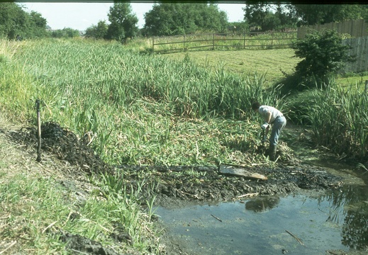 114 Kingshill Summer 1979