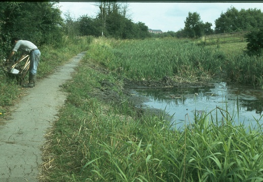 115 Kingshill Summer 1979