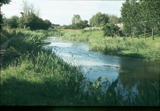 117 Kingshill Summer 1980