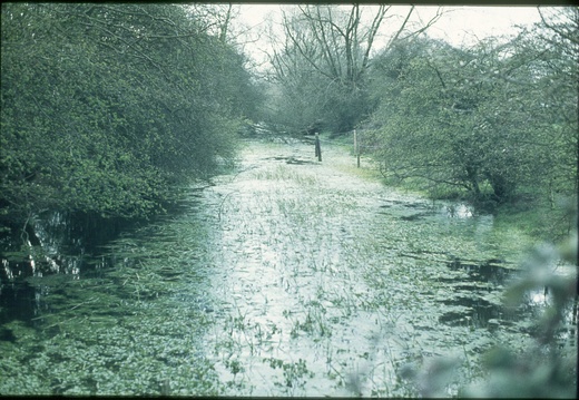 141 Stratton Park 1977