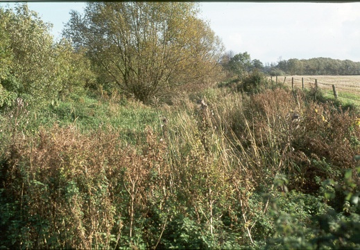 142 Canal 226879 Oct 1977