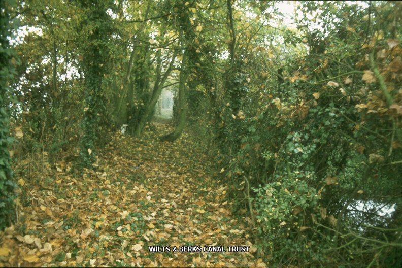 176 Towpath east from West Challow Bridge 370883 Jan 1979.jpg