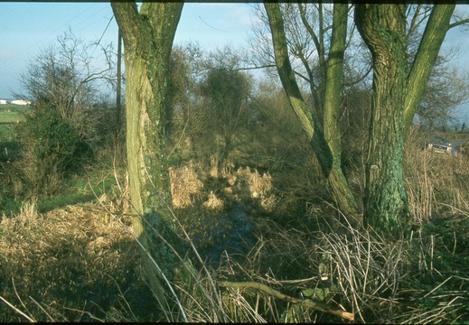 178 West Challow spring 1982