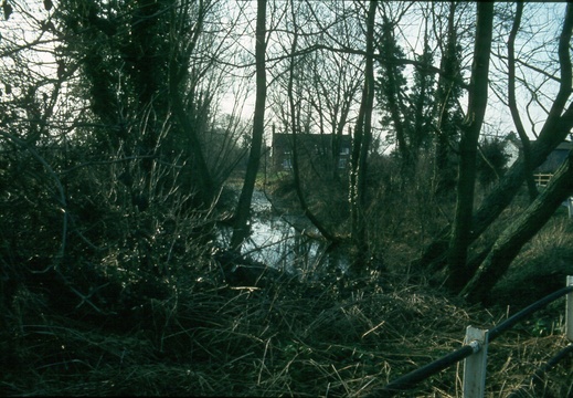 179 Looking west from West Challow Bridge spring 1982