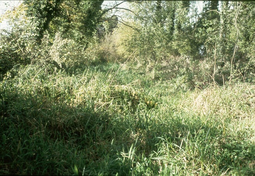 180 East Challow 377884 Oct 1977
