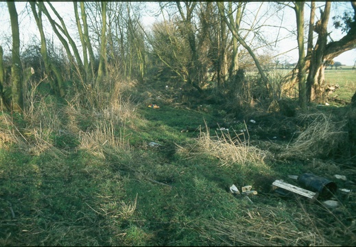 194 East Challow looking east spring 1982