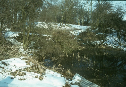 197 Remains of Stockham Bridge 391888 Jan 1979