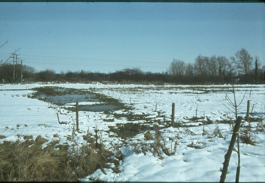 200 Site of Barwell Bridge and Coal Yard Jan 1979