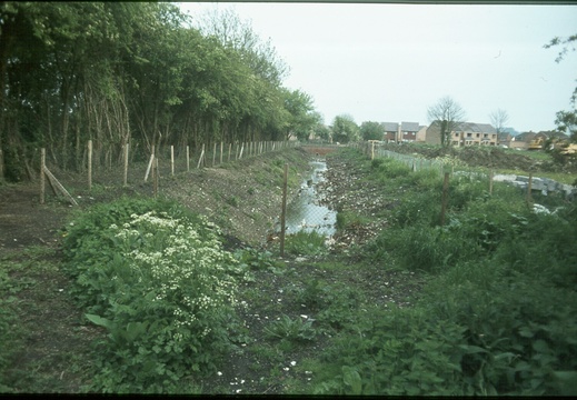 203 Settling Pond Wantage Arm 889396 June 1979