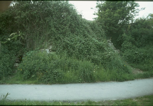 205 Remains of Belmont Bridge Wantage 397884 June 1979