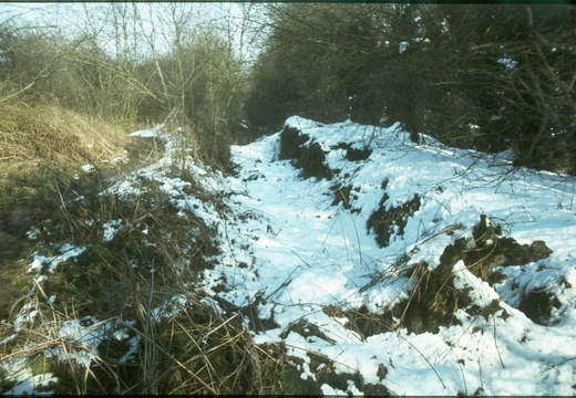 206 Grove Top Lock Jan 1979