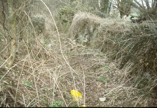 207 Grove Top Lock 1985