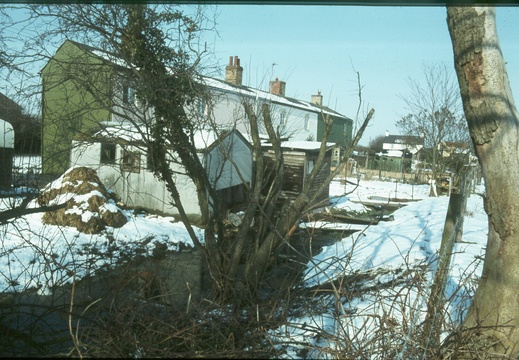 213 Rear of Ormond Terrace Grove Jan 1979