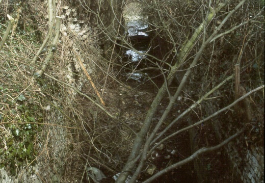 215 Grove Common Lock 1985