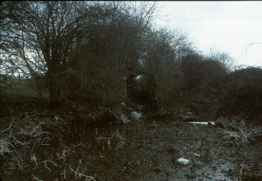 217 grove Common Lock tail bridge 1985
