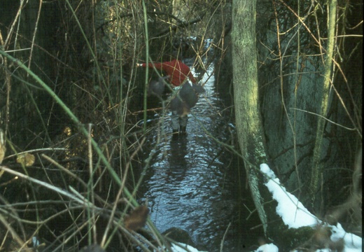 219 Grove Bottom Lock 420901 Jan 1979