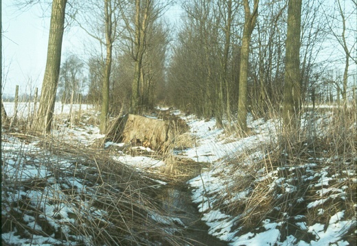 221 North east from 422902 Jan 1979