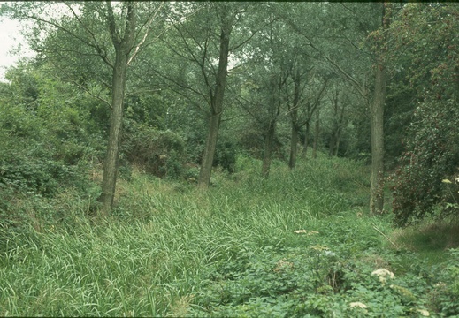 222 Canal 425807 Sep 1977