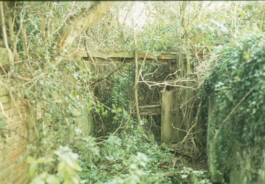 225 Ardington March Lock spring 1978