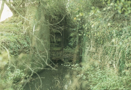 226 Ardington March Lock spring 1978