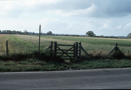 229 Cow Common looking south west 441929 spring 1978