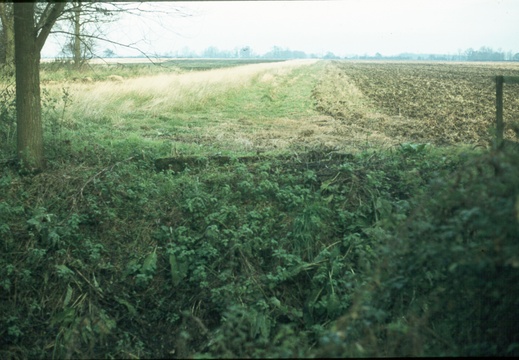 231 Cow Common looking north 434924 spring 1978