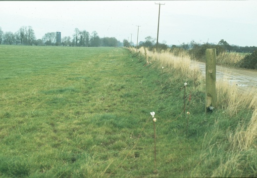 232 Cow Common looking north spring 1978