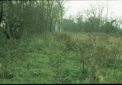 233 Looking south canal on left 446935 1978