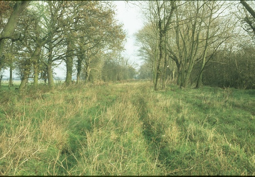 234 Steventon looking north 446935 spring 1978