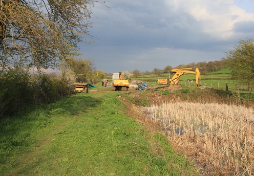 Dauntsey 14-04-12 JM 1007