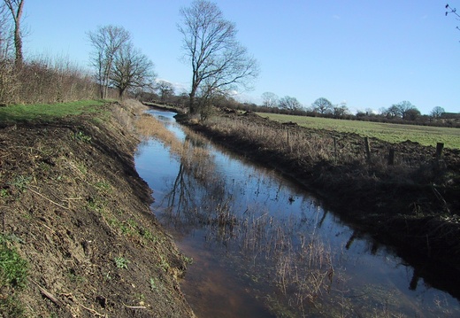 Dauntsey Feb 05 009