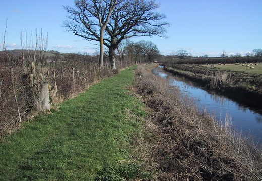 Dauntsey Feb 05 011