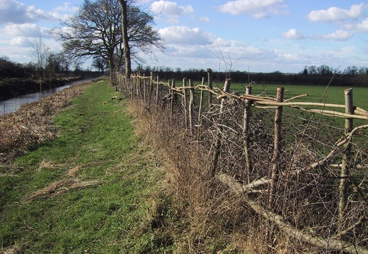 Dauntsey Feb 05 017