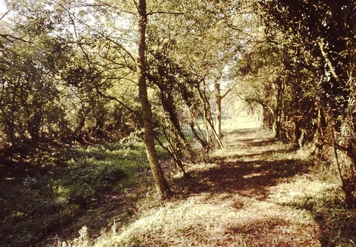 Seven Locks Photo 05