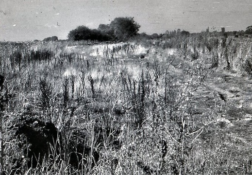 048691E (1236 visits) Image credit: RCHS. 1964, Bed of canal now filled in looking over Drayton Moor from lock 1. 048691E
