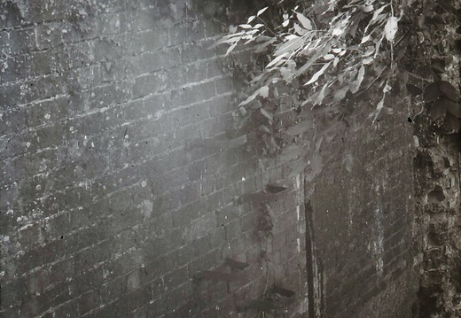 048688E (1182 visits) Image credit: RCHS. 1964, Steps up wall tail, Steventon Lock. 048688E