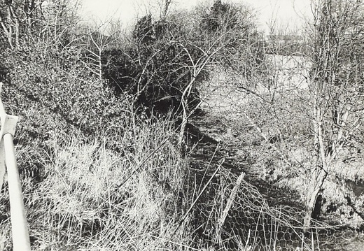 BW200-1-12-4-2 (488 visits) Image credit: Courtesy of National Waterways Archive, Canal & River Trust. Easter 1956, NW branch, C... BW200-1-12-4-2