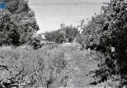 047554E (200 visits) Image credit: RCHS. 1964, Looking towards Latton Junction.
047554E