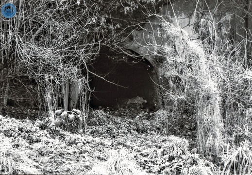 047553E (111 visits) Image credit: RCHS. 1962, South end of Cricklade tunnel. 047553E