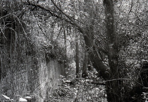 048636E (204 visits) Image credit: RCHS. 1964, Remains of Pewsham Bottom Lock. 048636E