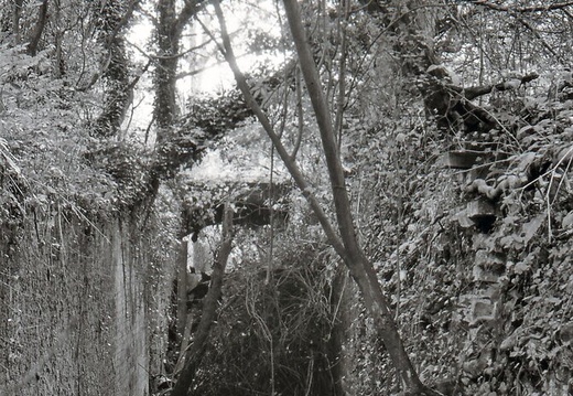 048635E (122 visits) Image credit: RCHS. 1964, Remains of Pewsham Top Lock. 048635E
